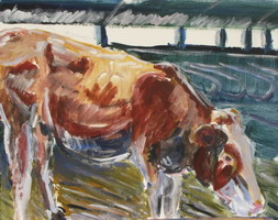 Koeienworkshop Nico Oosting juni 2012